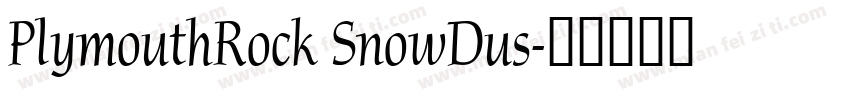 PlymouthRock SnowDus字体转换